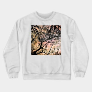 Trees #13b Crewneck Sweatshirt